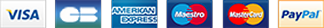 payment logo